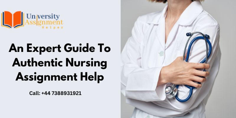 An Expert Guide To Authentic Nursing Assignment Help UK 2023