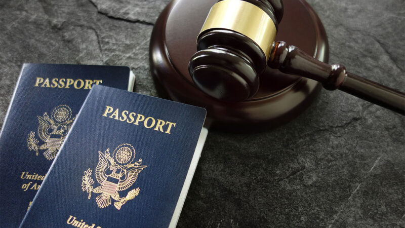 Do the immigration lawyer London help you with every kinds of visa?