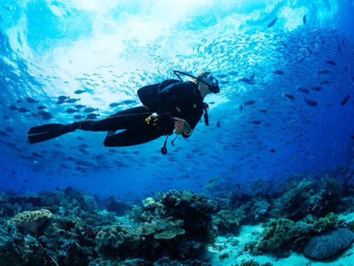 Everything You Need to Know Before Going to Scuba Diving in Dubai