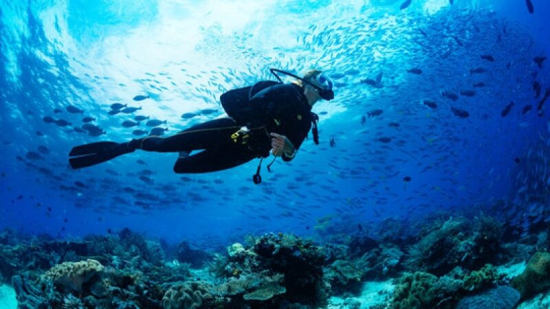 Everything You Need to Know Before Going to Scuba Diving in Dubai